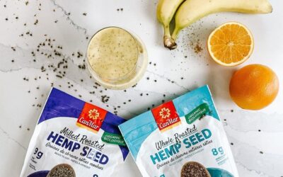 Orange-Mango Smoothie with Hemp